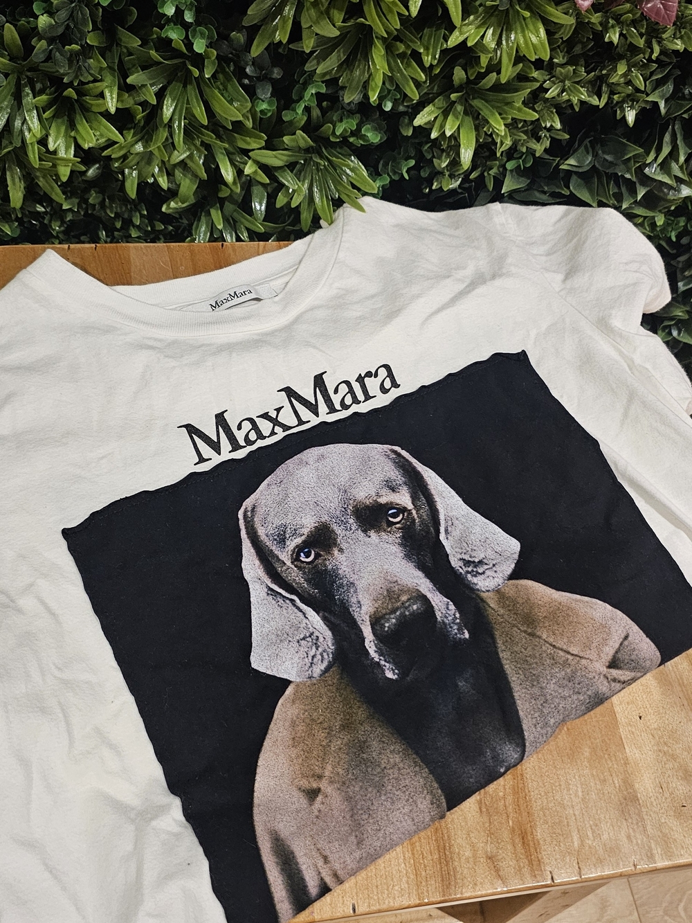 MaxMara White Dog Graphic Tee with Black Panel